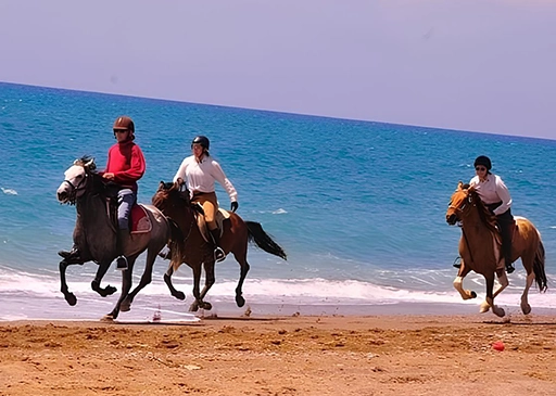 Side Horse Riding