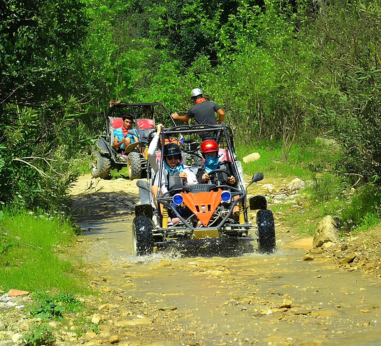 Side Buggy Safari